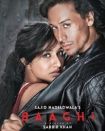 Baaghi Baaghi