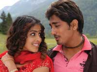 Siddarth and Genelia in Bommarillu Siddarth and Genelia in Bommarillu