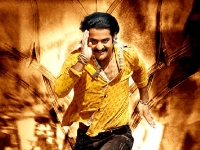 Jr NTR Jr NTR