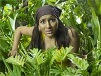 Palak Palak