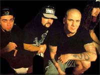 Pantera Pantera