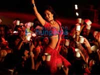 Katrina Kaif Katrina Kaif