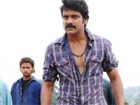 Nagarjuna in Ragada Nagarjuna in Ragada
