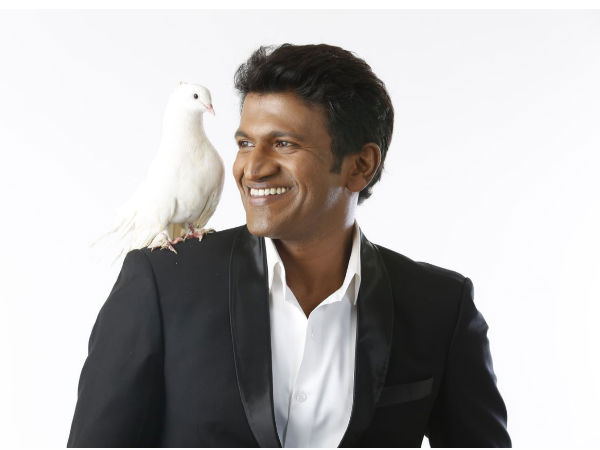Image result for Puneeth Rajkumar's Raajakumara