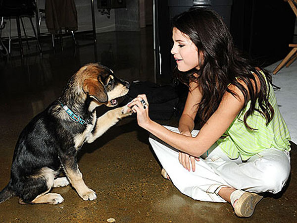 selena gomez puppy actresses with their adorable pets filmibeat selena gomez puppy actresses with their adorable pets filmibeat