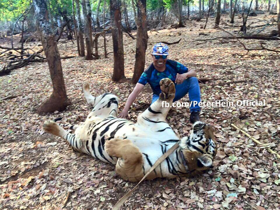 Why We Think Mohanlal's Puli Murugan Is A Magnum Opus? - Filmibeat