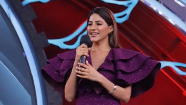 Did Nikki Manage To Impress Viewers?