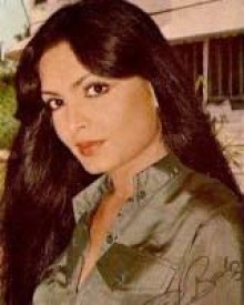 parveen babi wiki parveen babi biography wiki dob family profile movies parveen babi wiki parveen babi biography wiki dob family profile movies