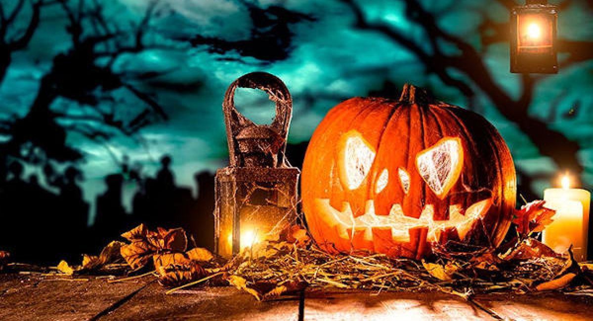 Top 15 Halloween Movies Top 10 Halloween Movies Movies To Watch on