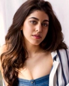 अलाया फर्नीचरवाला