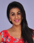 నిక్కి గల్రాని