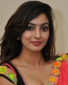 వైభవి జోషి