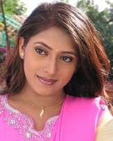 ದಾಮಿನಿ ದಾಮಿನಿ