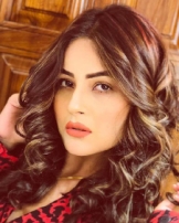 Shehnaaz Gill Shehnaaz Gill