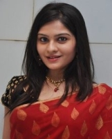 విభ నటరాజన్ విభ నటరాజన్