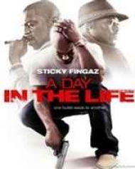 A Day in the Life A Day in the Life