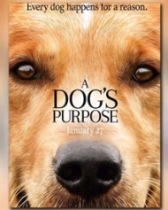A Dog's Purpose A Dog's Purpose