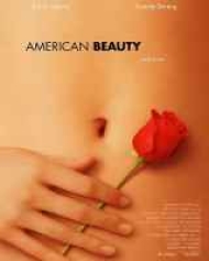 American Beauty American Beauty