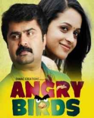 Angry Birds Angry Birds
