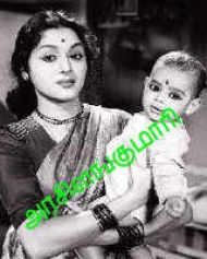Arasilangumari Arasilangumari