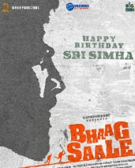 Bhaag Saale Bhaag Saale