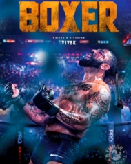 Boxer Boxer