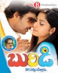 బురిడి బురిడి