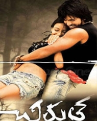 చిరుత చిరుత