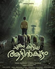 ചുങ്കം കിട്ടിയ ആട്ടിന്കൂട്ടം ചുങ്കം കിട്ടിയ ആട്ടിന്കൂട്ടം