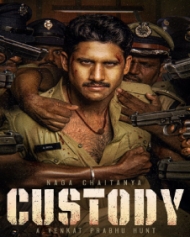 కస్టడీ కస్టడీ