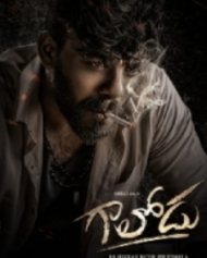గాలోడు గాలోడు