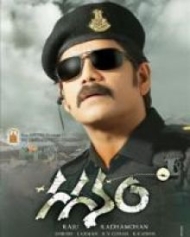 గగనం గగనం