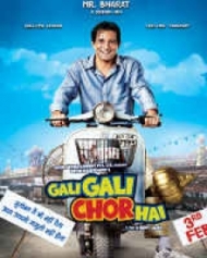 गली गली में चोर है गली गली में चोर है