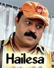 Hailesa Hailesa