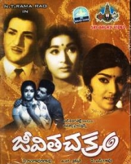 జీవిత చక్రం జీవిత చక్రం