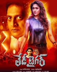 లేడి టైగర్ లేడి టైగర్