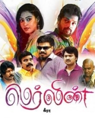 மெர்லின் மெர்லின்