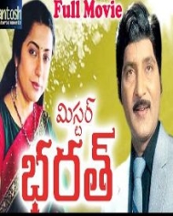 మిస్టర్ భరత్ మిస్టర్ భరత్