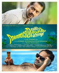 നത്തോലി ഒരു ചെറിയ മീനല്ല നത്തോലി ഒരു ചെറിയ മീനല്ല
