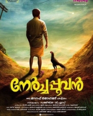 നേർച്ചപൂവന് നേർച്ചപൂവന്