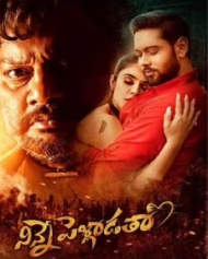 నిన్నే పెళ్లాడుతా నిన్నే పెళ్లాడుతా