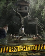 No Entry No Entry