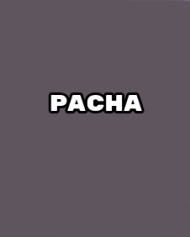 Pacha Pacha