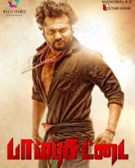 பாம்புச் சட்டை பாம்புச் சட்டை