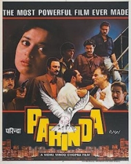 परिन्दा परिन्दा