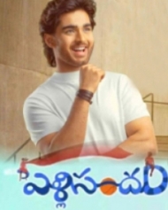 పెళ్లి సందం పెళ్లి సందం