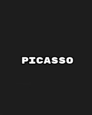 Picasso Picasso