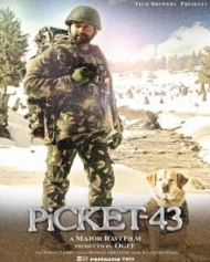 Picket 43 Picket 43