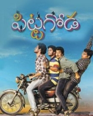 పిట్టగోడ పిట్టగోడ