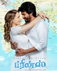 ப்ரின்ஸ் ப்ரின்ஸ்